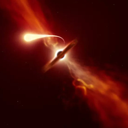 Star survives a close encounter with a black hole only to meet it again