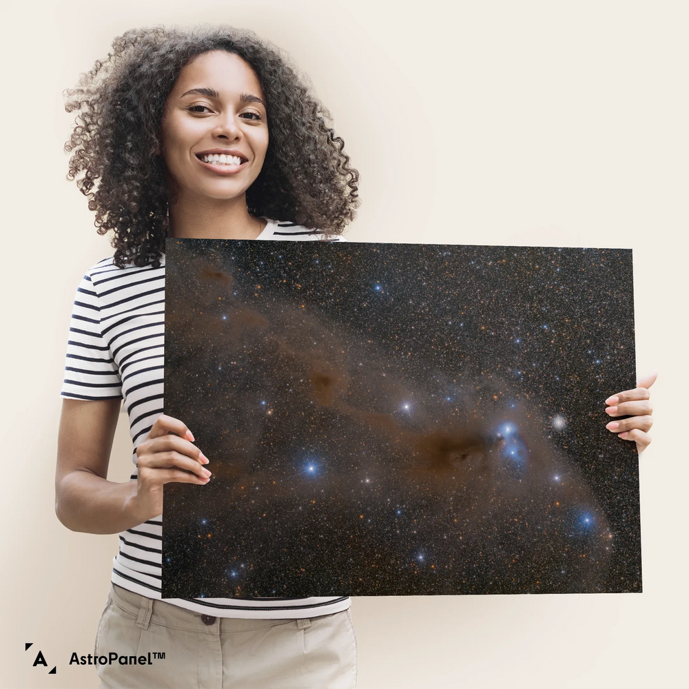 Anteater Nebula