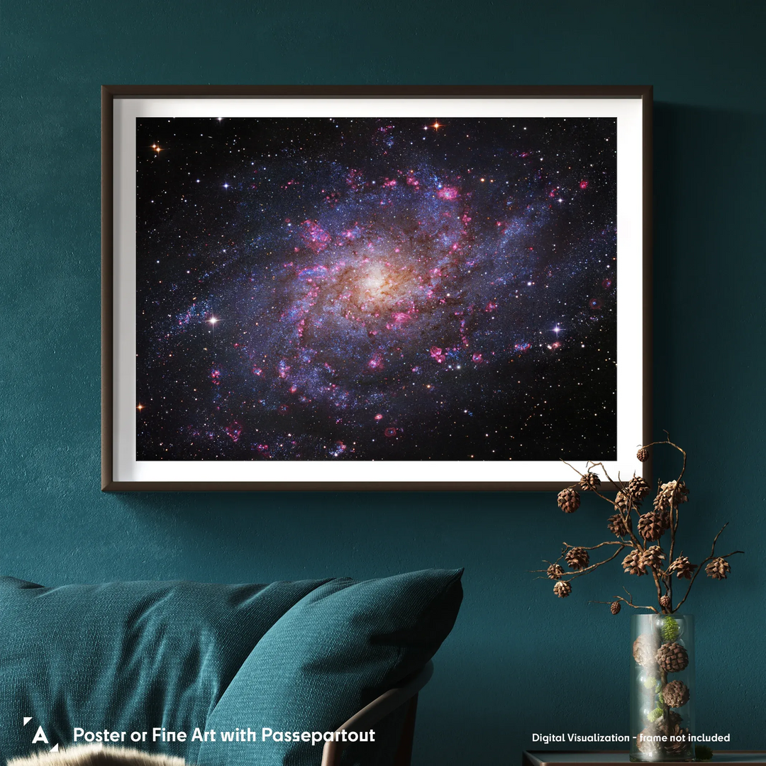 Robert Gendler: The Triangulum Galaxy - M33