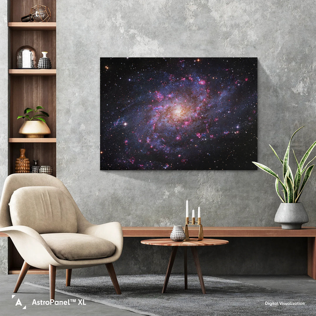 Robert Gendler: The Triangulum Galaxy - M33